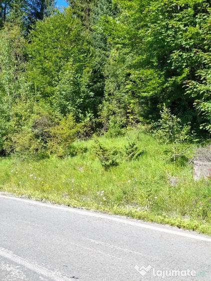 Teren în Moroeni