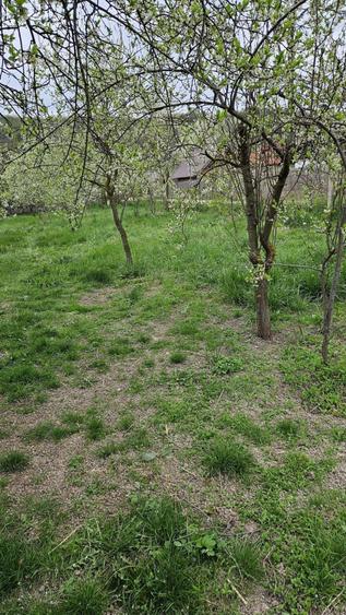 Teren de 2700 mp, în Bogați