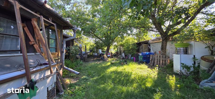 Casă cu 3 camere cu Teren 1500 Mp în Sălard