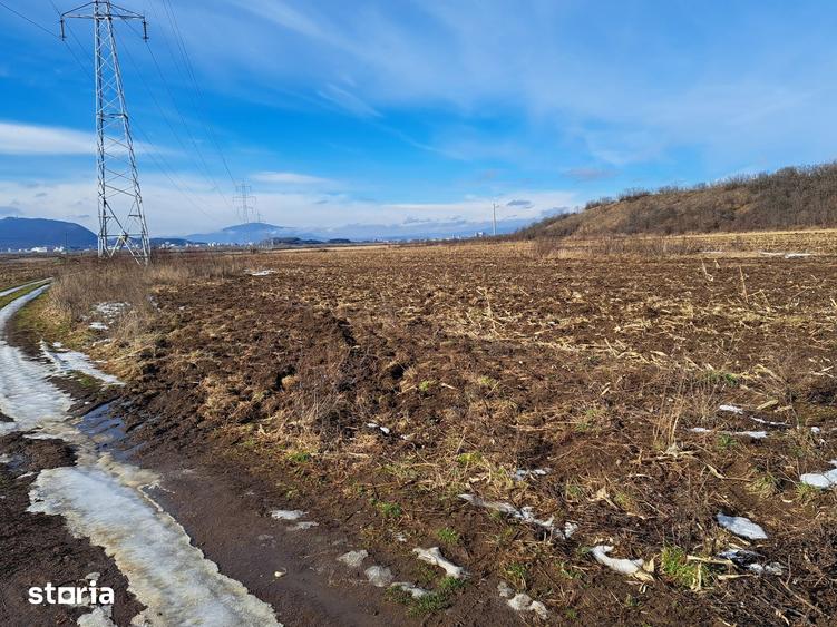 Teren de 3500 mp, în Movilei