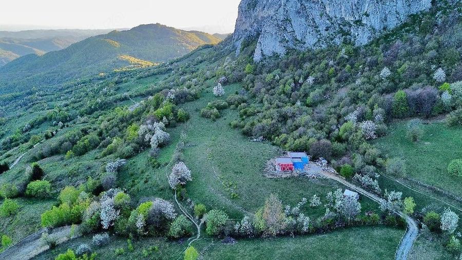 Teren de 25000 mp, în Vulcan