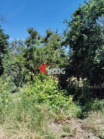 Casă cu 3 camere în Lunei