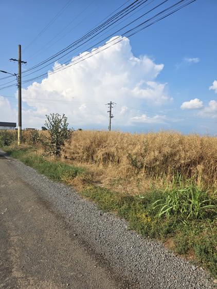 Teren agricol intravilan de 9100 mp, în Valu lui Traian