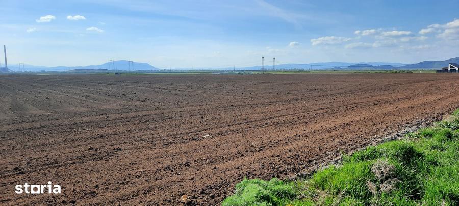 Teren de 52800 mp, în Tărlungeni
