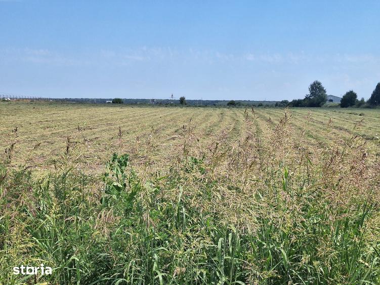 Teren de 23298 mp, în Ciorogârla