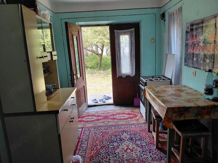 Casă cu 5 camere cu Teren 4800 Mp în Galicea Mare