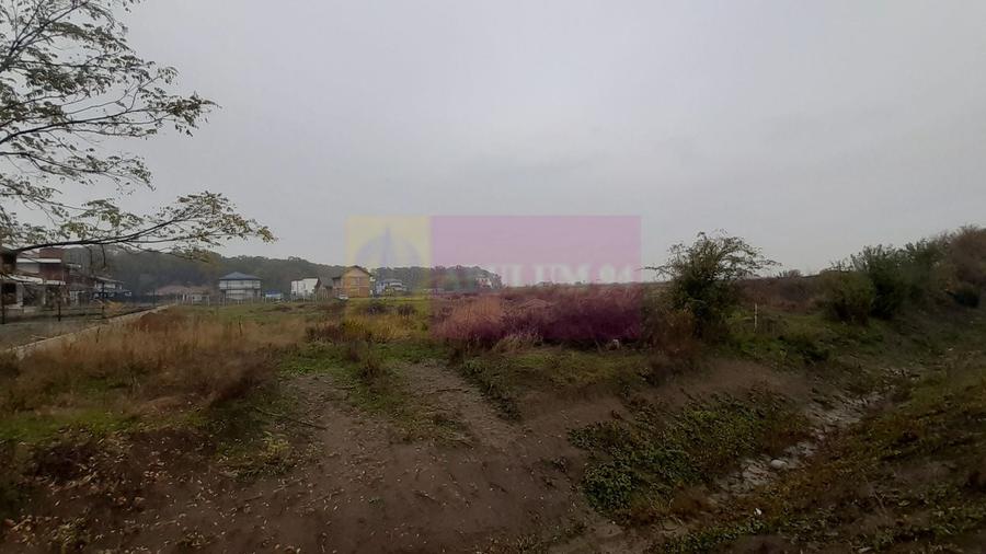 Teren agricol extravilan de 5000 mp, în Corbeanca