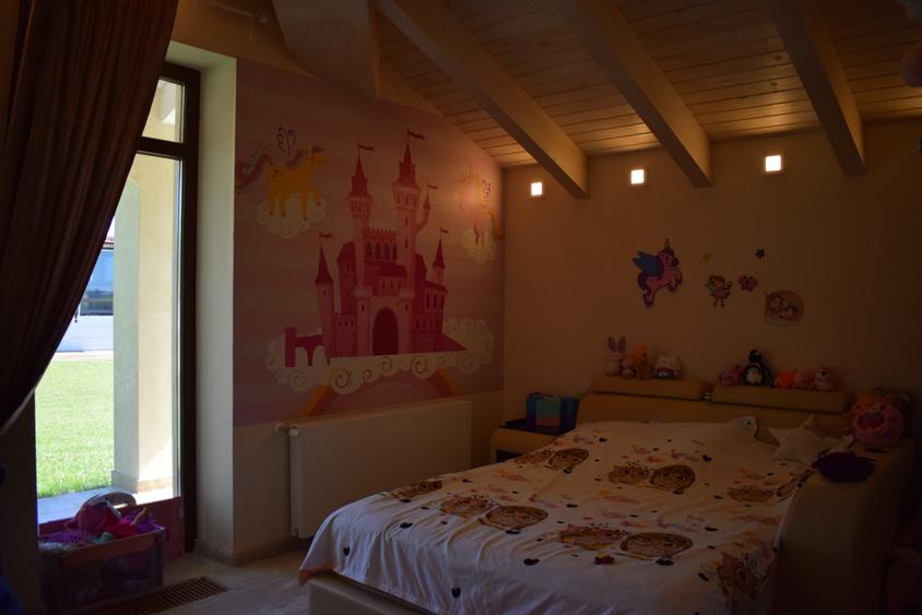 Casă individuală cu 9 camere cu Piscina în Snagov