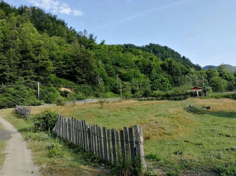 Teren de 2646 mp, în Central