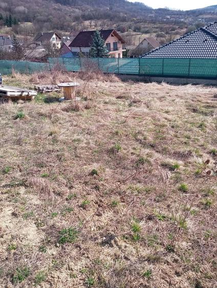 Teren de 600 mp, în Central