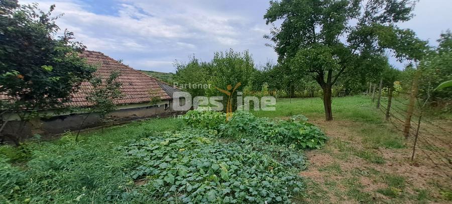 Casă cu 3 camere cu Teren 1715 Mp în Cornești