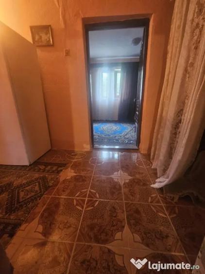 Casă cu 1 camere cu Teren 3000 Mp în Central