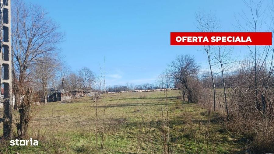 Teren de 6500 mp, în Rociu