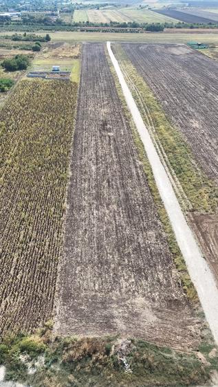 Teren Construcții intravilan de 10000 mp, în Frumușani