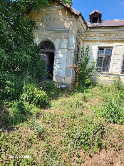Casă cu Teren 2894 Mp în Segarcea-Vale