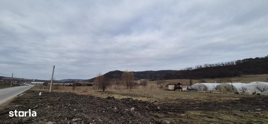 Teren de 17000 mp, în Ceuaș