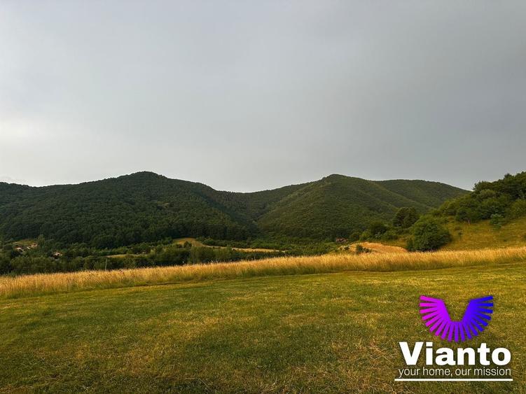 Teren agricol extravilan de 3408 mp, în Gura Râului