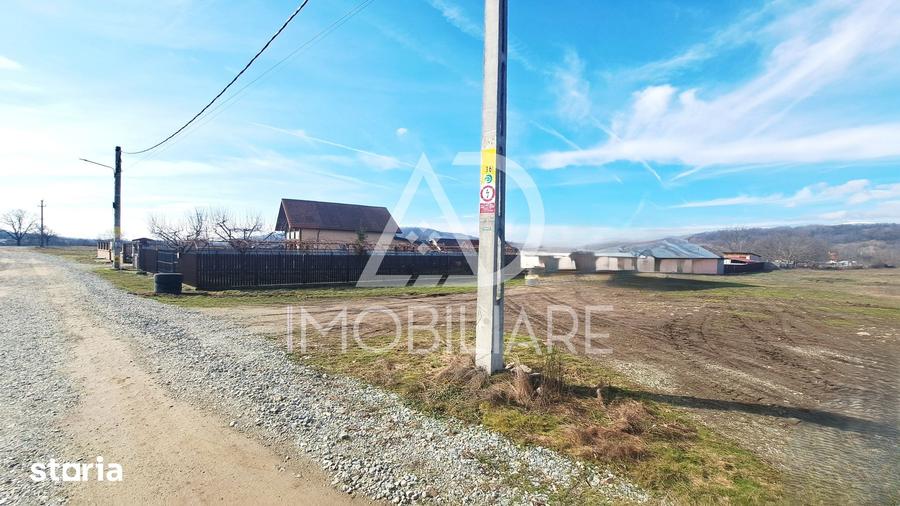 Teren de 3725 mp, în Bumbești-Pițic