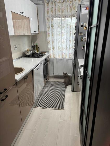 Apartament cu 3 camere decomandat în Valea Lupului