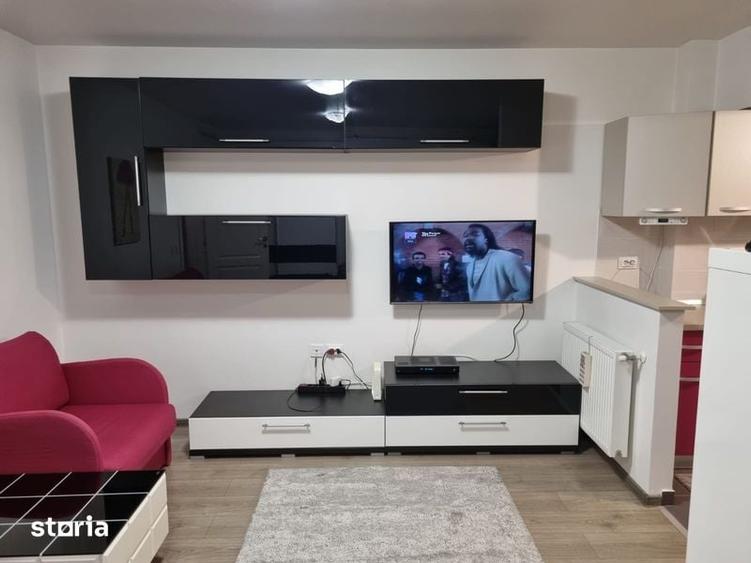Apartament 1 camera Pacurari 350E - 8