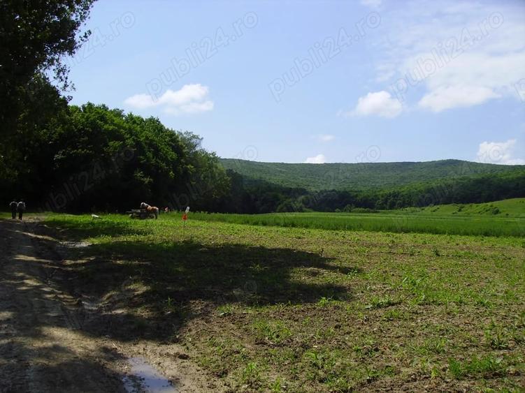 Teren de 90000 mp, în Central