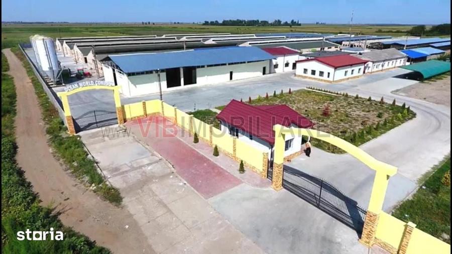 Teren de 60000 mp, în Chiscani