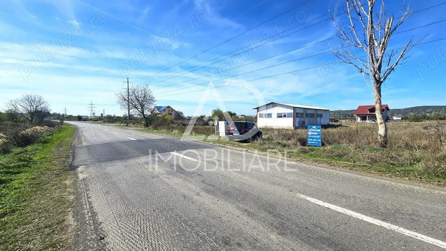 Teren în Narciselor