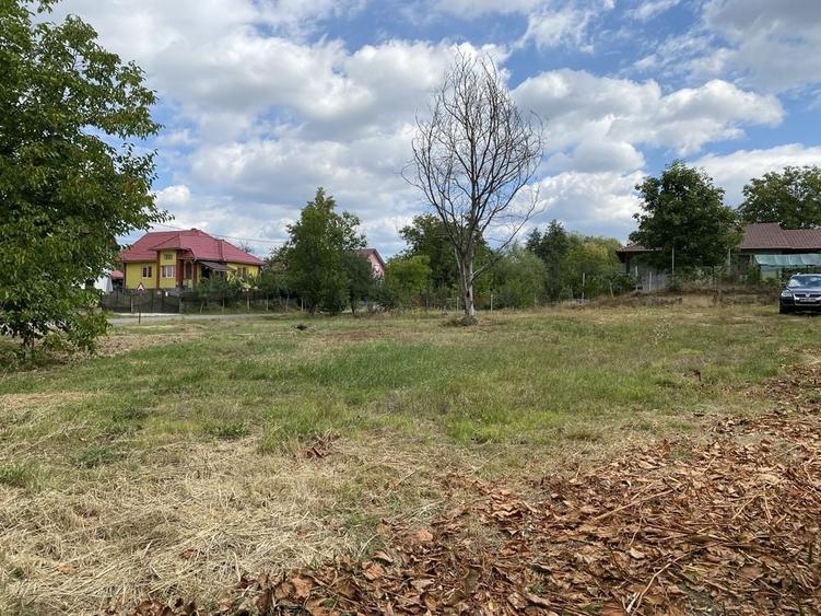 Teren de 1450 mp, în Satu Nou de Jos