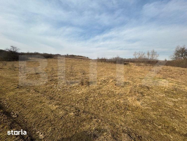 Teren de 11200 mp, în Șieu