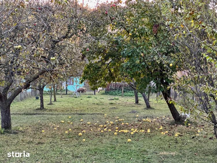 Casă cu 4 camere cu Teren 2224 Mp în Aluniș