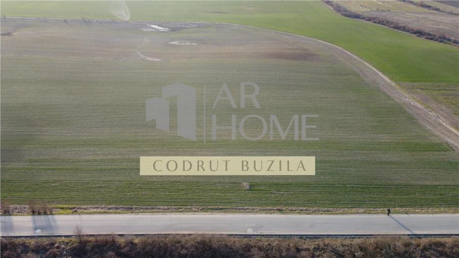 Teren Construcții intravilan de 2500 mp, în Chițorani