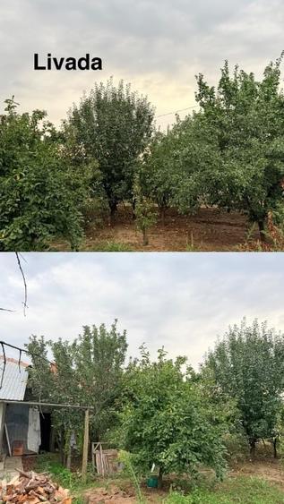 Casă individuală cu 6 camere cu Canalizare în Negoești