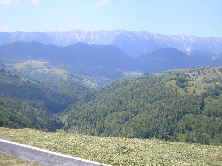 Teren intravilan de 3700 mp, în Moieciu de Jos