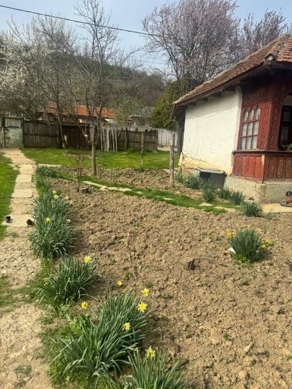 Casă individuală cu 3 camere cu Teren 1700 Mp în Bărcănești