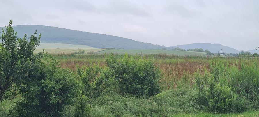 Teren extravilan de 7200 mp, în Gornești