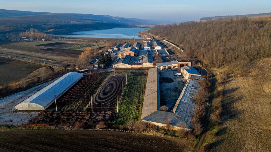 Spațiu industrial, de 50,000 mp, în Horgești