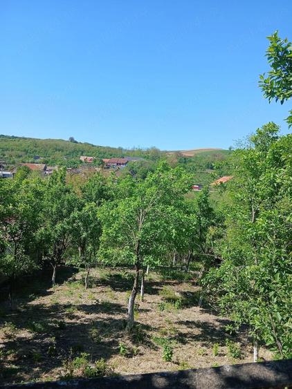 Vand casa 3 camere in sat Iclod judetul Alba - 4