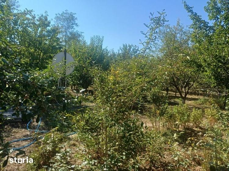 Casă cu 4 camere cu Teren 110 Mp în Grădiștea