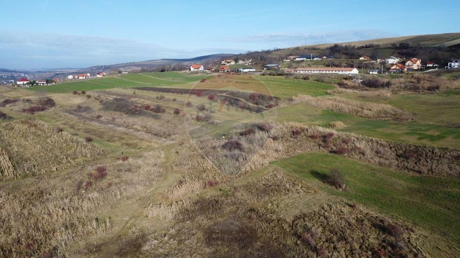 Teren agricol extravilan de 68403 mp, în Popești