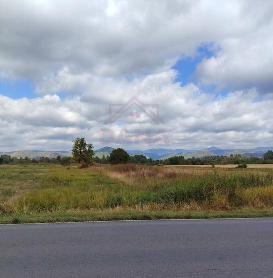 Teren agricol extravilan de 3678 mp, în Obreja