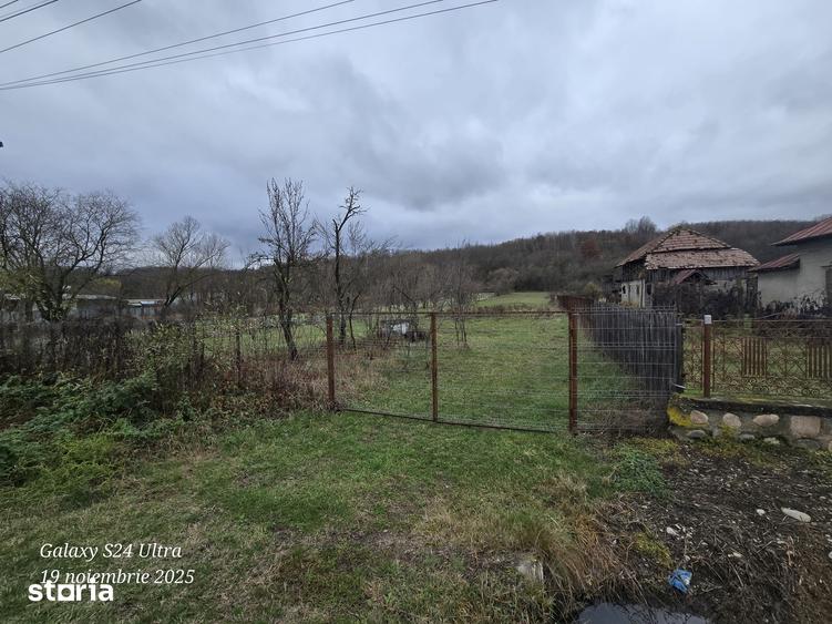 Teren de 5000 mp, în Merișani