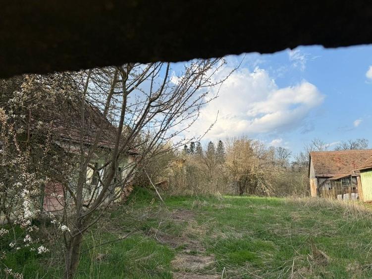Casă cu 2 camere în Ludoș