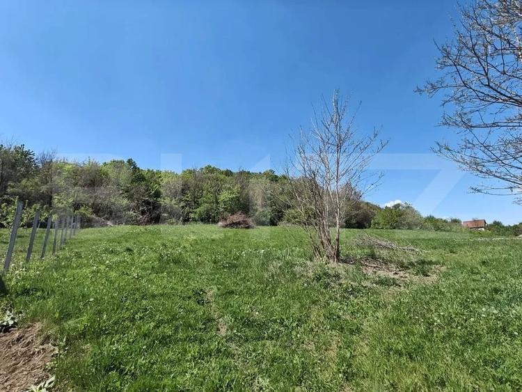 Teren Construcții intravilan de 1400 mp, în Curteni