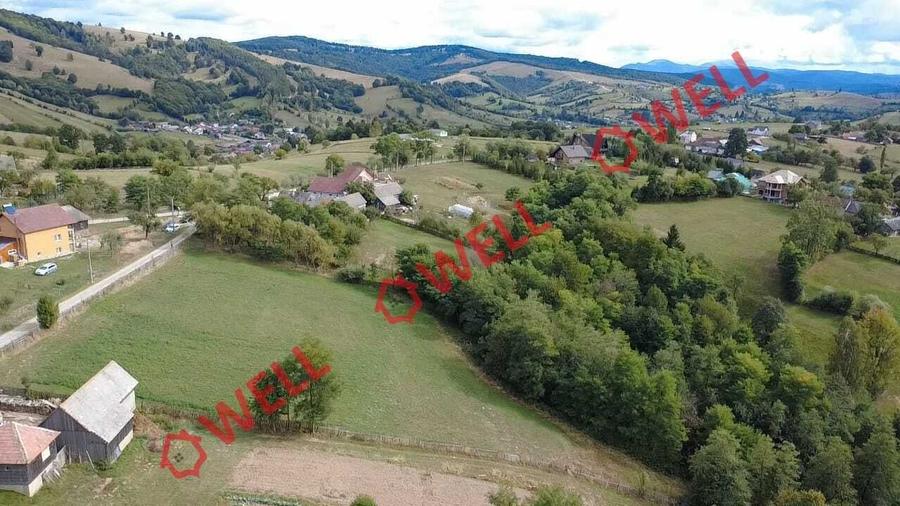 Teren Construcții intravilan de 6067 mp, în Barcani