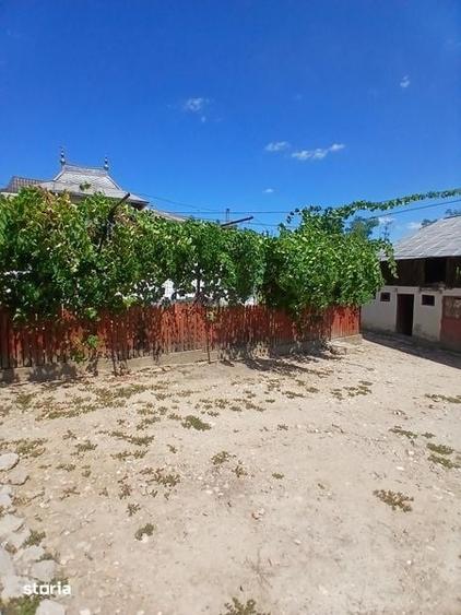 Casa gospodarie sapata - 3
