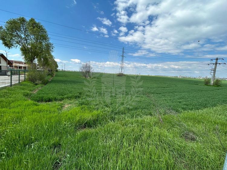 Teren Construcții intravilan de 9300 mp, în Exterior Nord