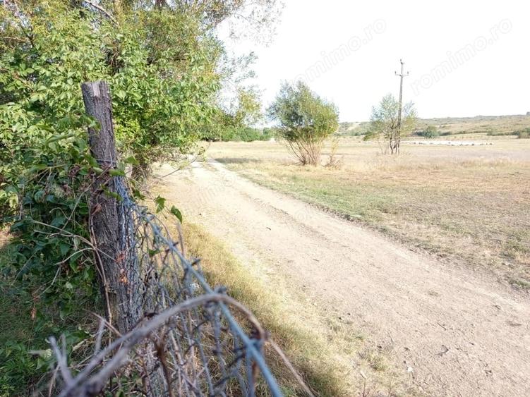 Casă cu Teren 1151 Mp în Ciuchici