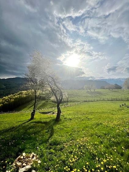 Teren intravilan de 110000 mp, în Moieciu