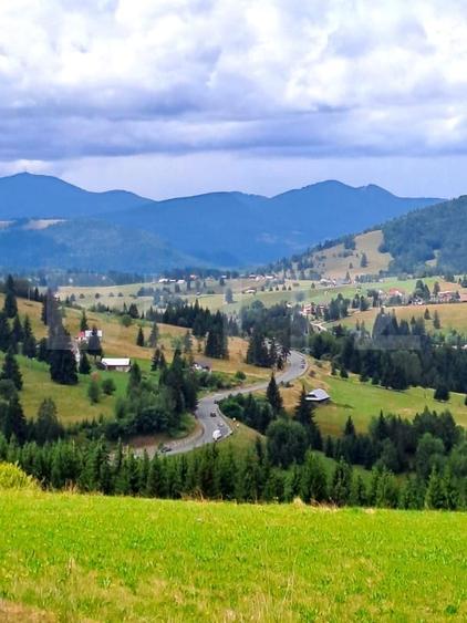 Teren Construcții intravilan de 3936 mp, în Piatra Fântânele