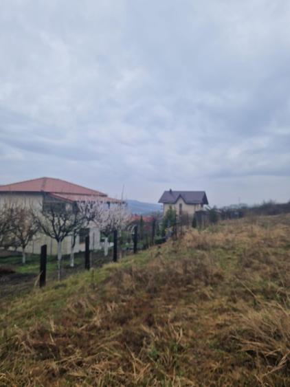 Teren Construcții extravilan de 1500 mp, în Iris
